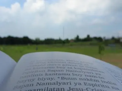 IMG_0104. no aspect ratioJPG[1].jpg